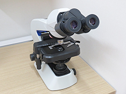 顕微鏡検査イメージ