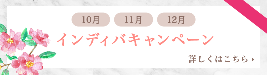 インディバキャンペーン