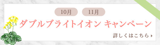 ダブルブライトイオン キャンペーン