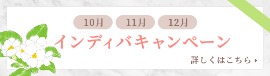 インディバキャンペーン