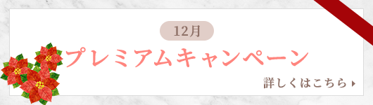 12月プレミアムキャンペーン
